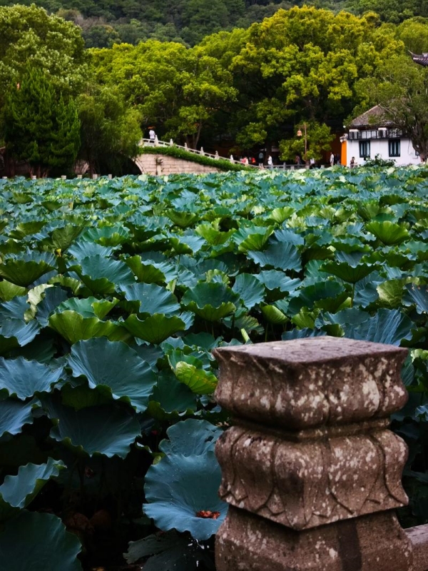 Putuoshan Island