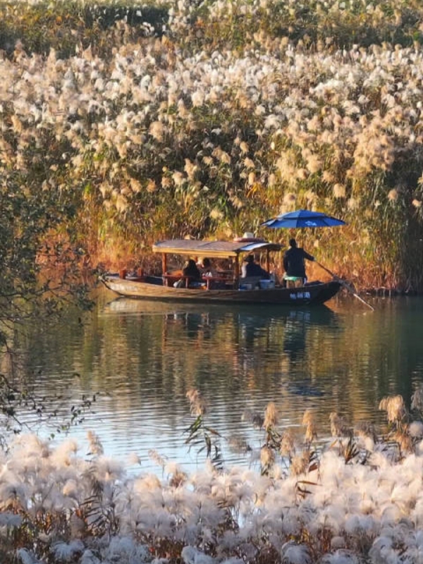 Xixi Wetland in Hangzhou
