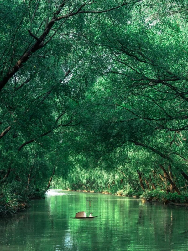 Nansha Wetland Park