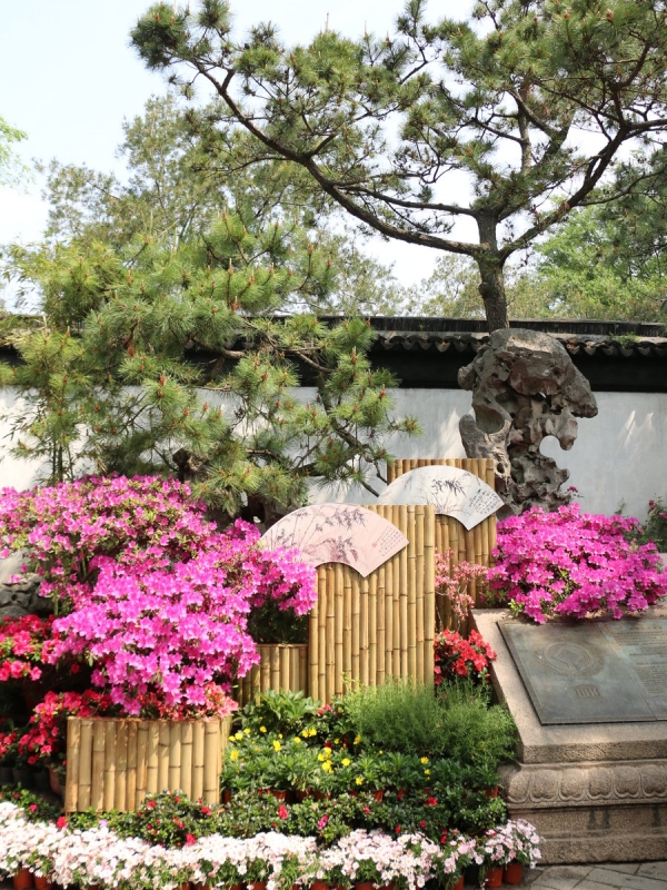 Humble Administrator's Garden, Suzhou