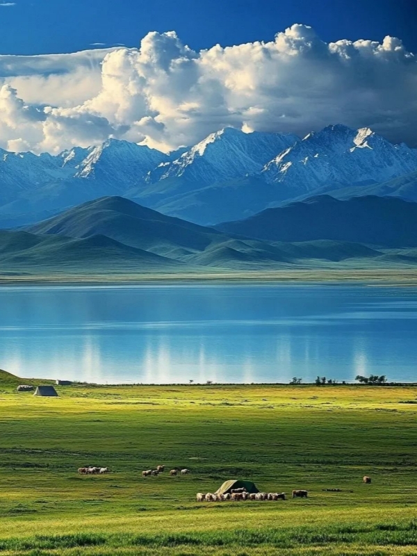 The Qinghai Lake