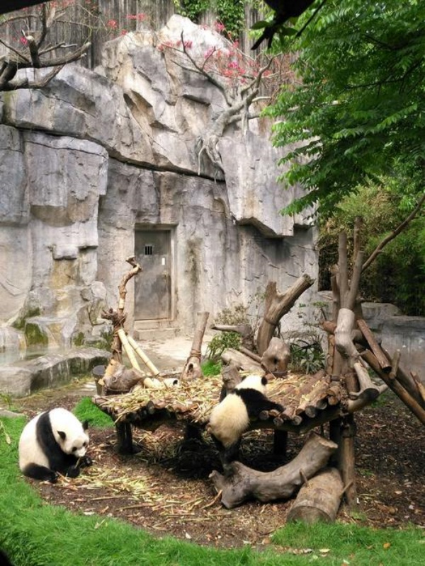 Map of Panda in China