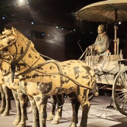 Qin Bronze Chariots