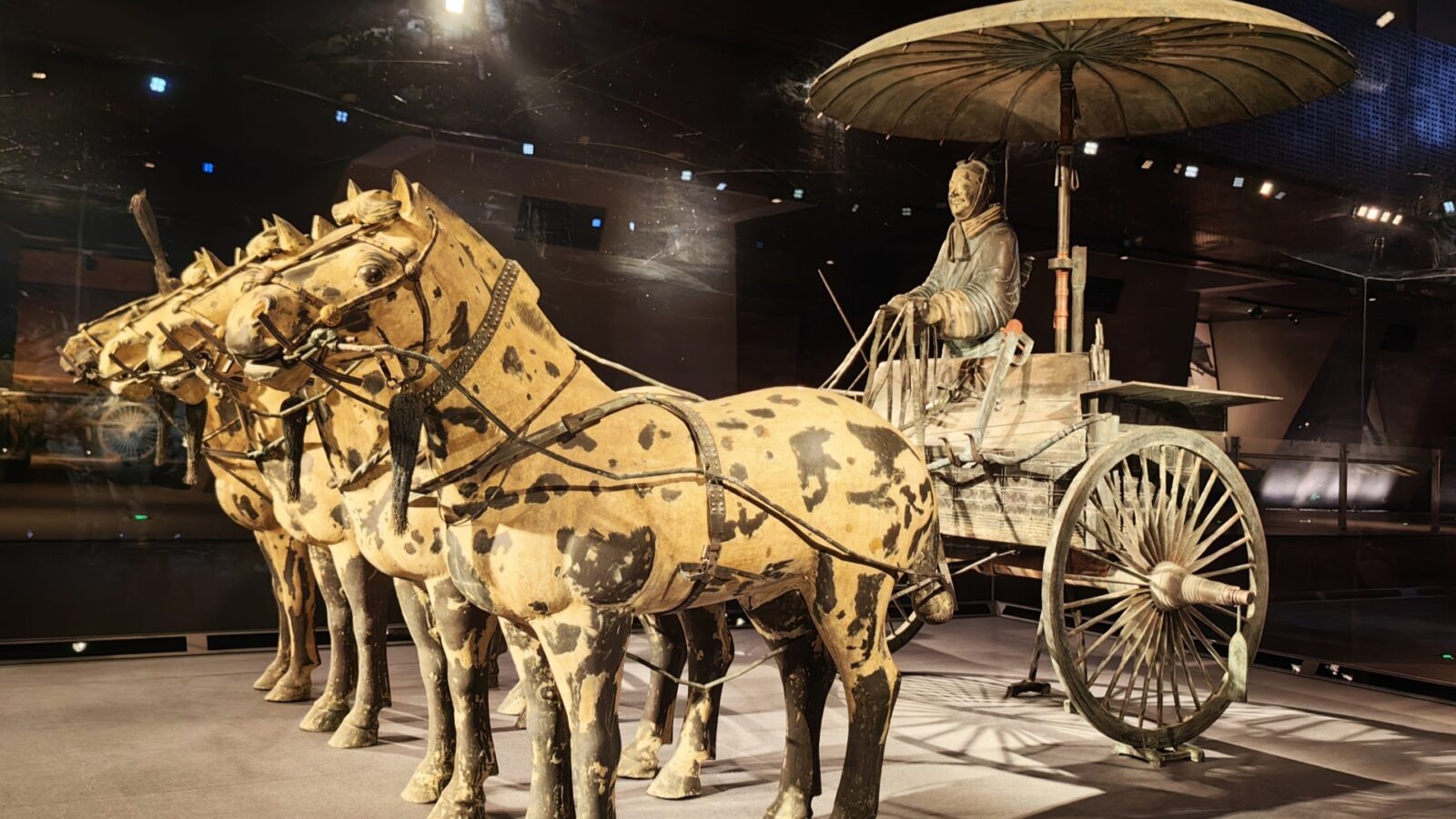 Qin Bronze Chariots