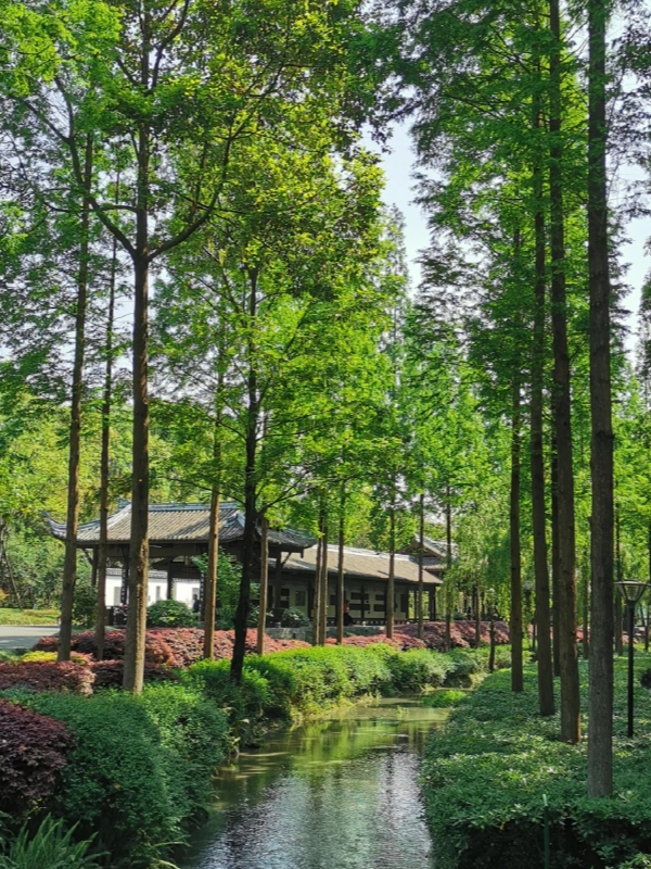 Huanhuaxi Park (Huanhua Stream Park)