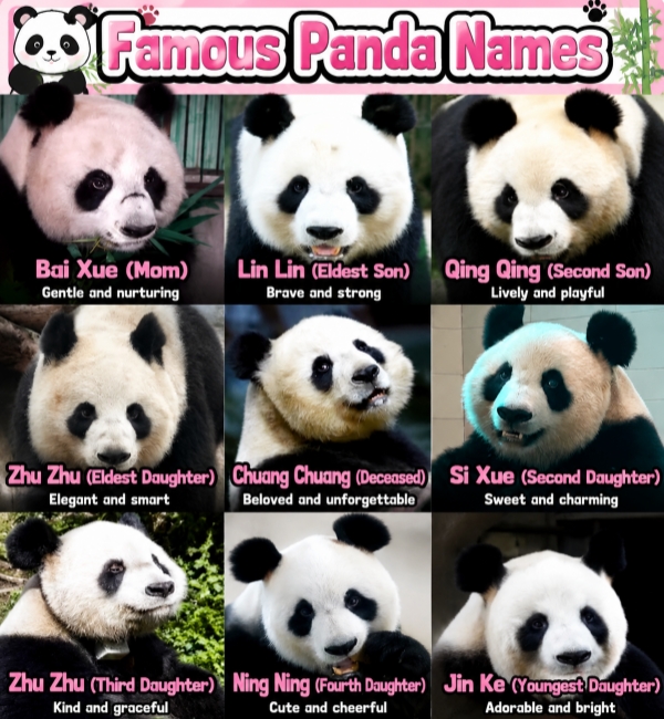 Famous Panda Names
