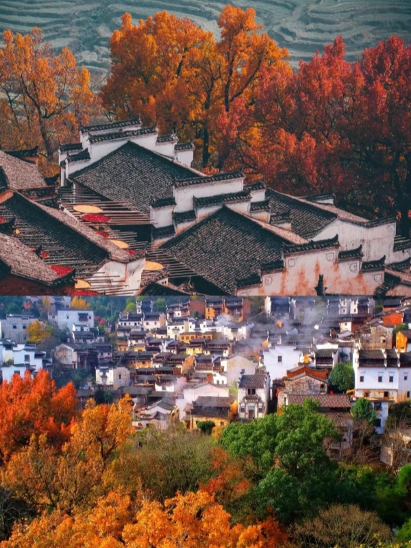 Yellow Mountain, Wuyuan and Anhui Villages