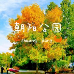 Chaoyang Park Beijing