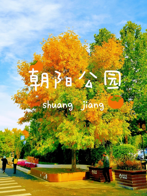 Chaoyang Park Beijing