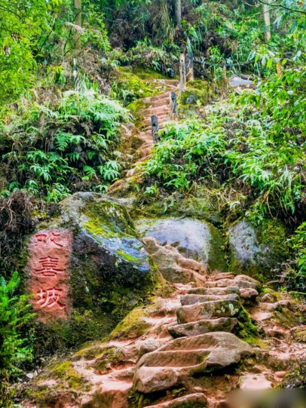 Ladder of Love, Chongqing, China
