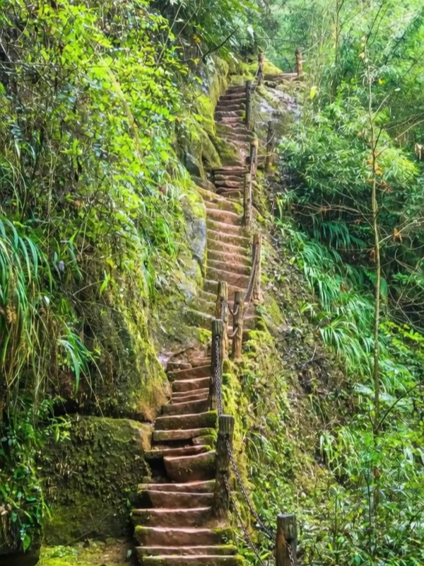 Ladder of Love