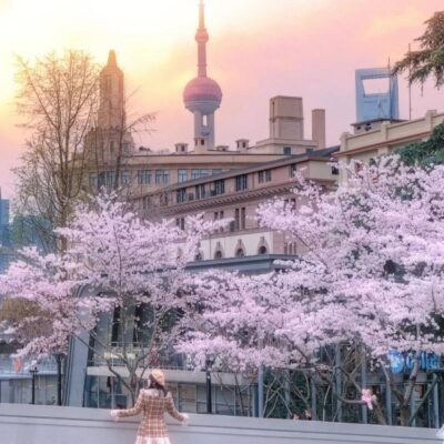 Shanghai Weather in March 2026