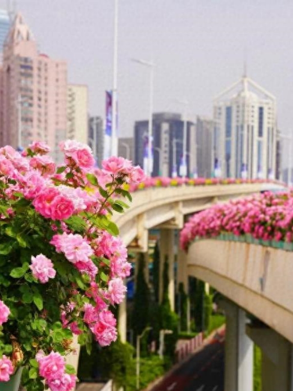 Shanghai Weather in March 2026