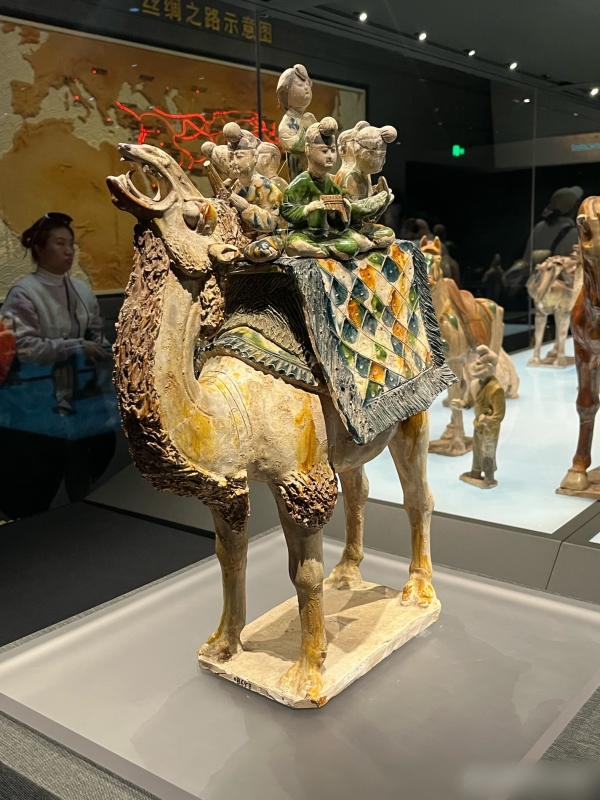 Shaanxi History Museum in Xian
