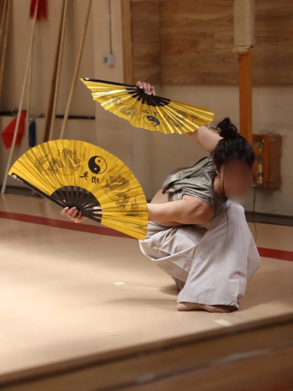 The Tai Chi and Martial Arts Fans