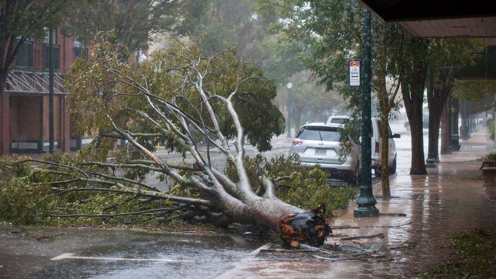 Typhoon Season