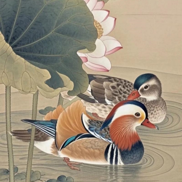 Mandarin Ducks