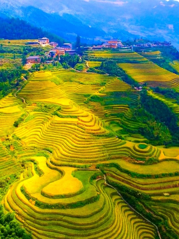 The Longsheng Rice Terraces