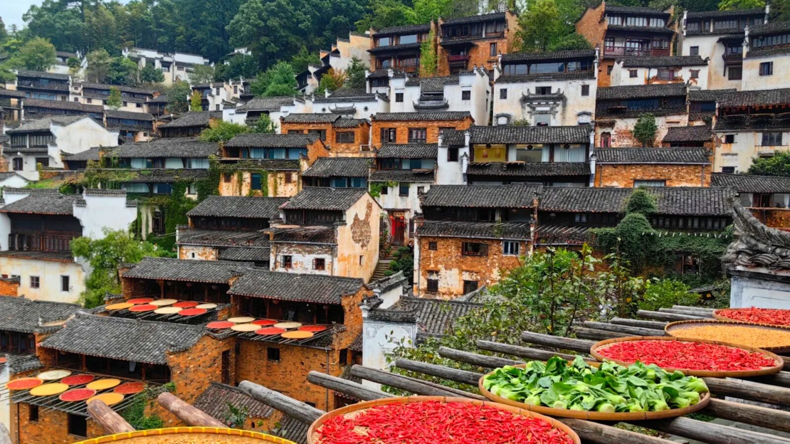 The Wuyuan