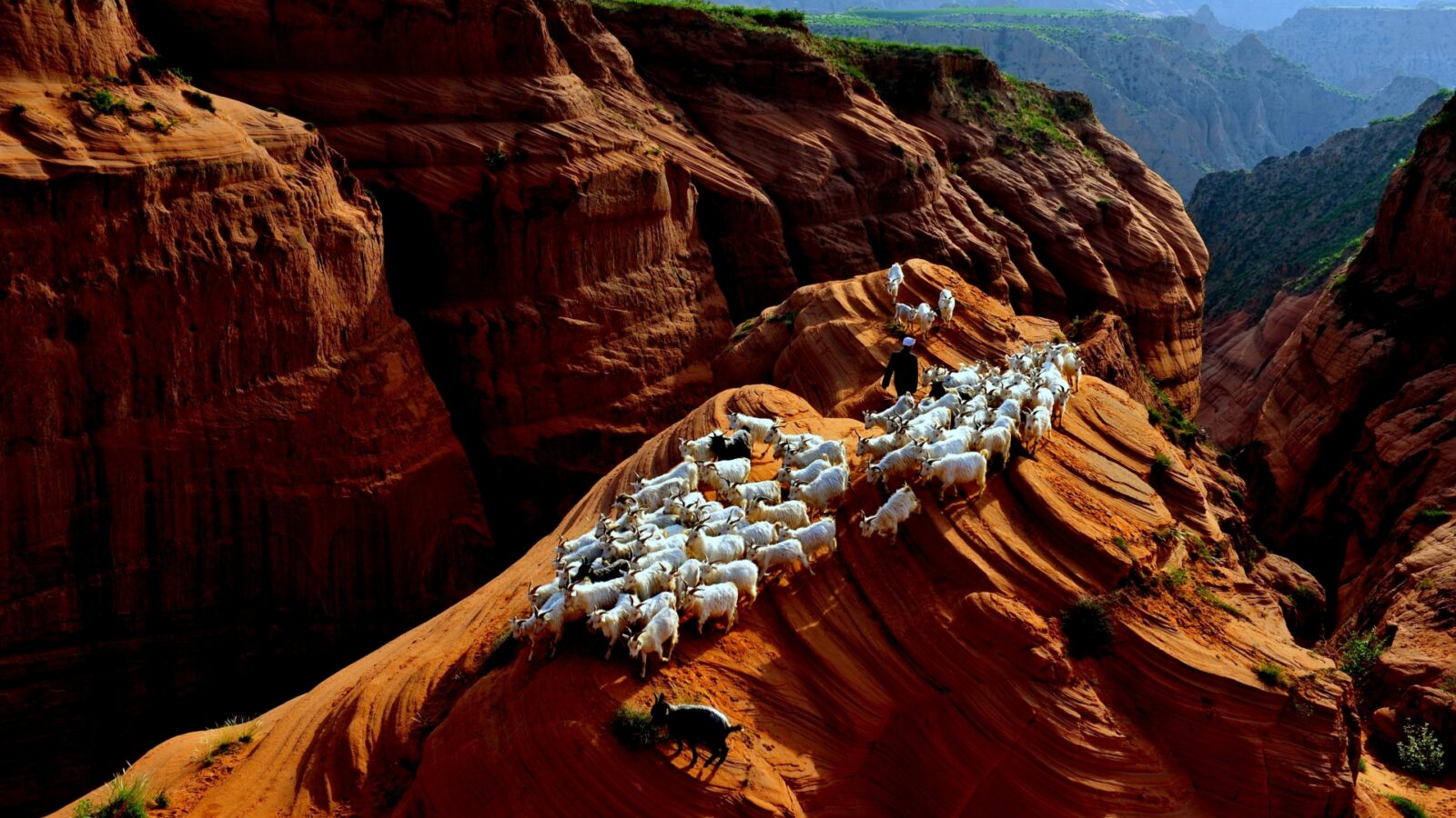 The Gobi Desert