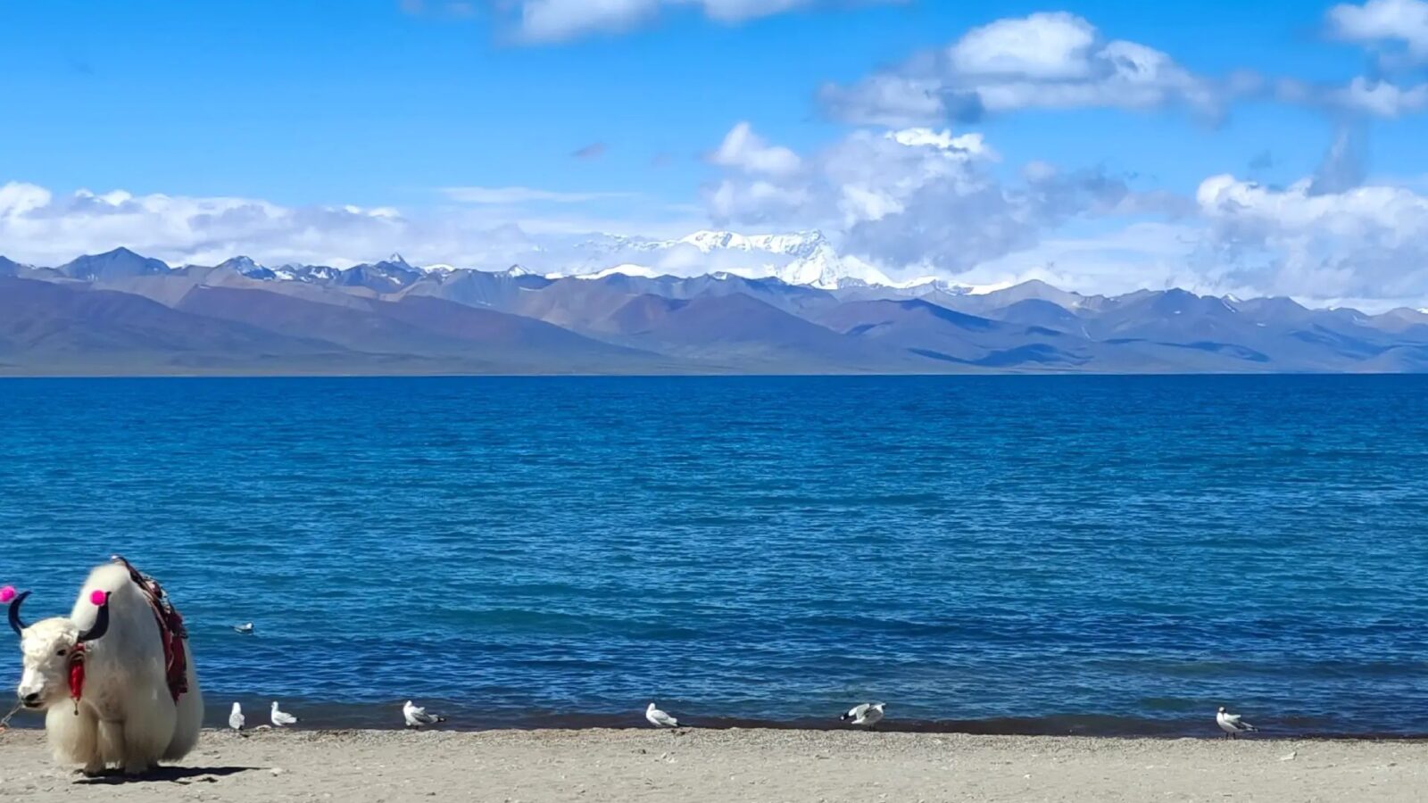 Namtso Lake