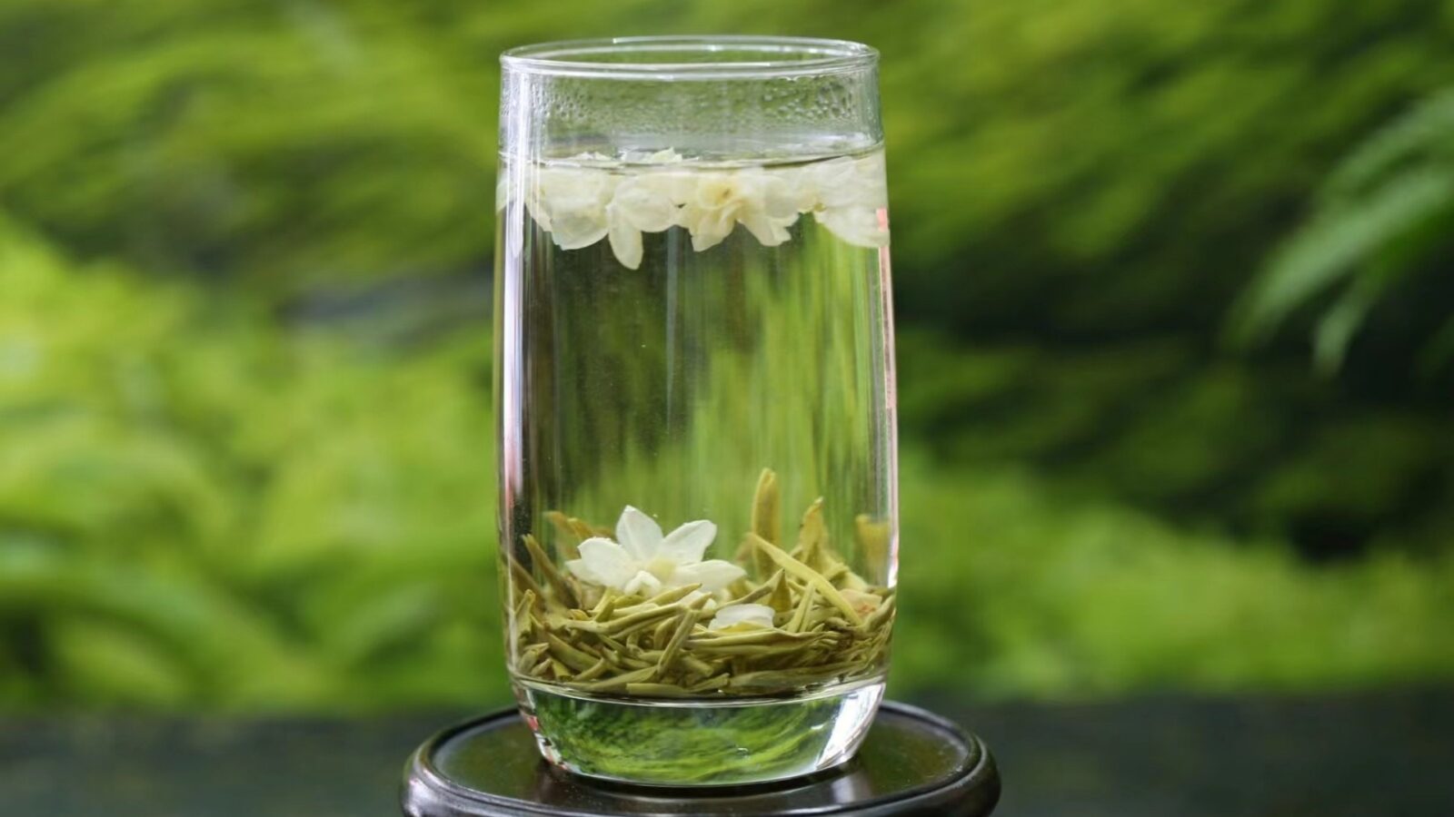 The Jasmine Tea