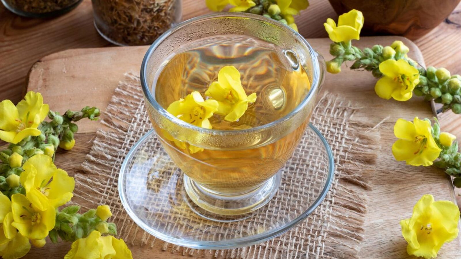The Chrysanthemum (Gook-Fa)