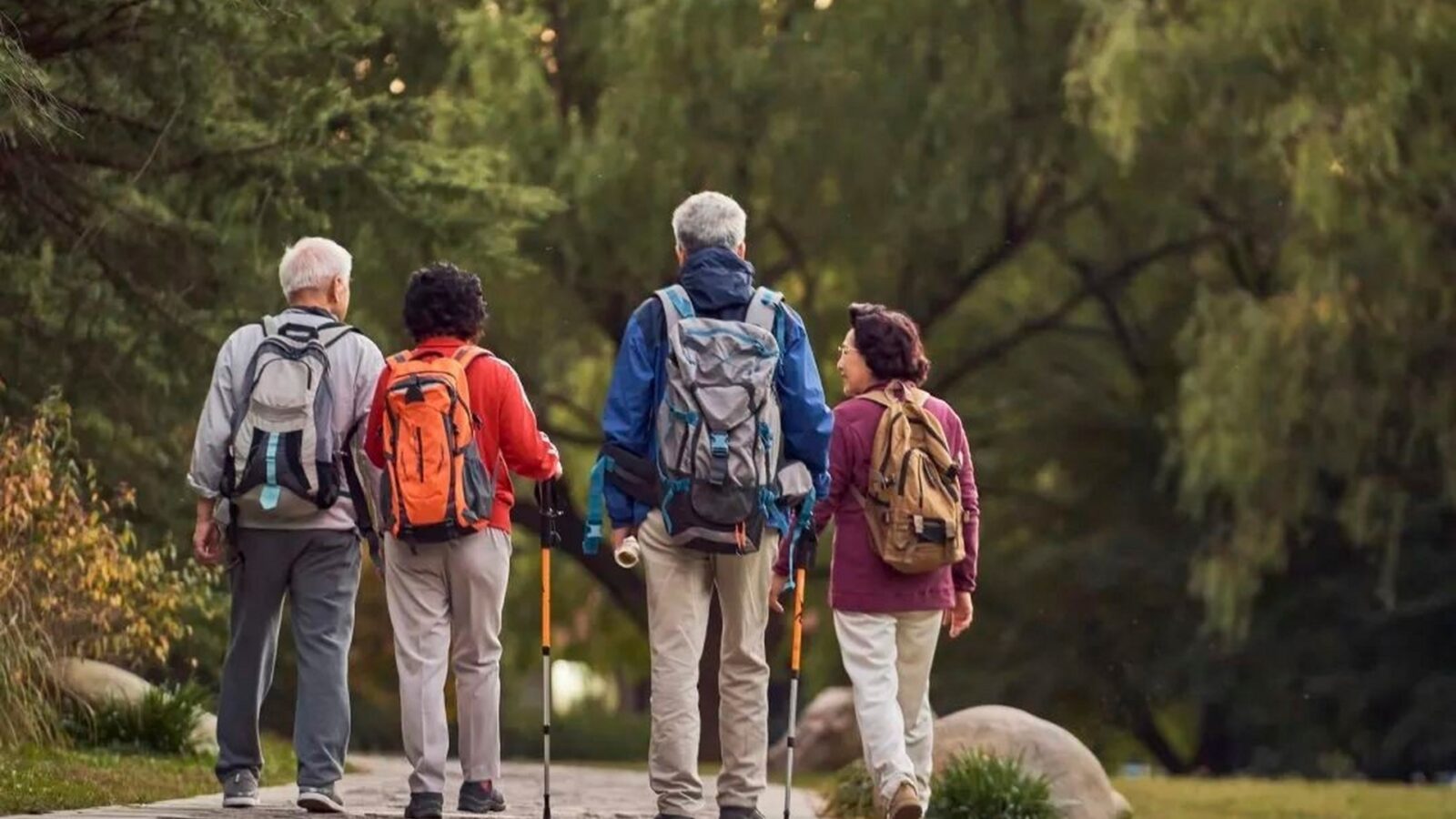 China Tours for Seniors