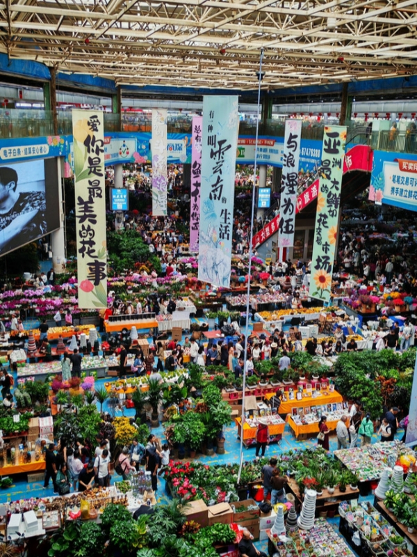 Dounan Flower Market
