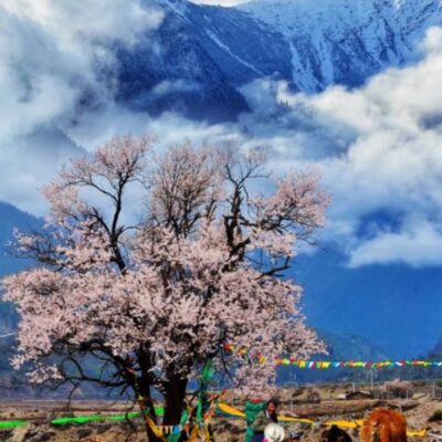 Linzhi Tibet China