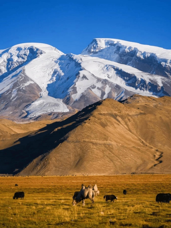 Muztagh Ata (Xinjiang)