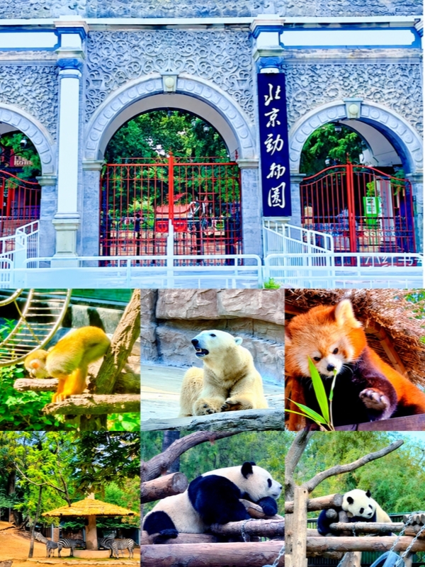 Beijing Zoo Tickets in 2026