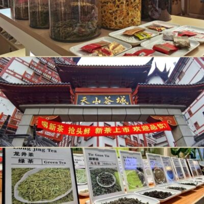 Tianshan Tea City Shanghai