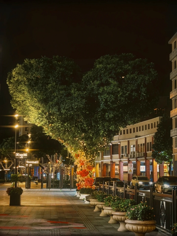 Millennium City Road Site